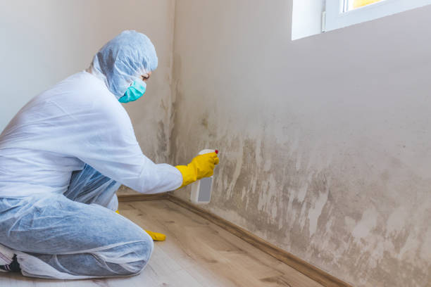 Hvac And Air Duct Mold Remediation inspection of HVAC system in Carrboro