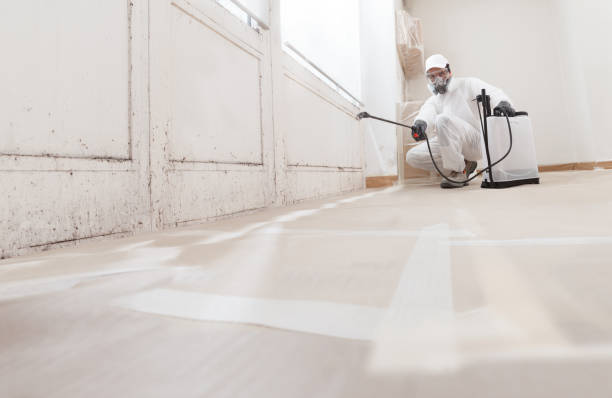 Black mold remediation team in Carrboro