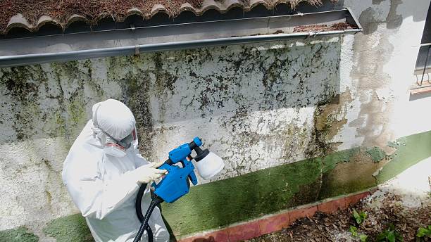 Mold Removal service in Carrboro